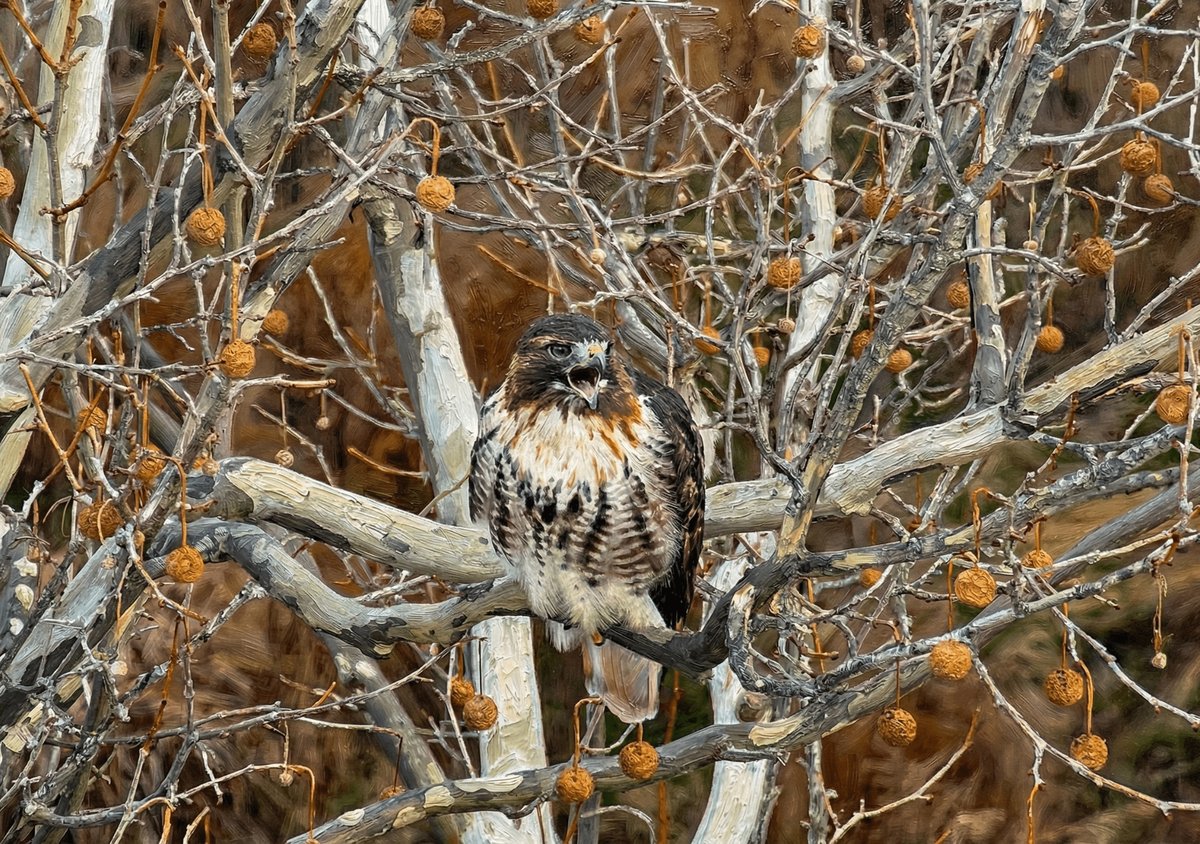 Herald Of The Bare Woods