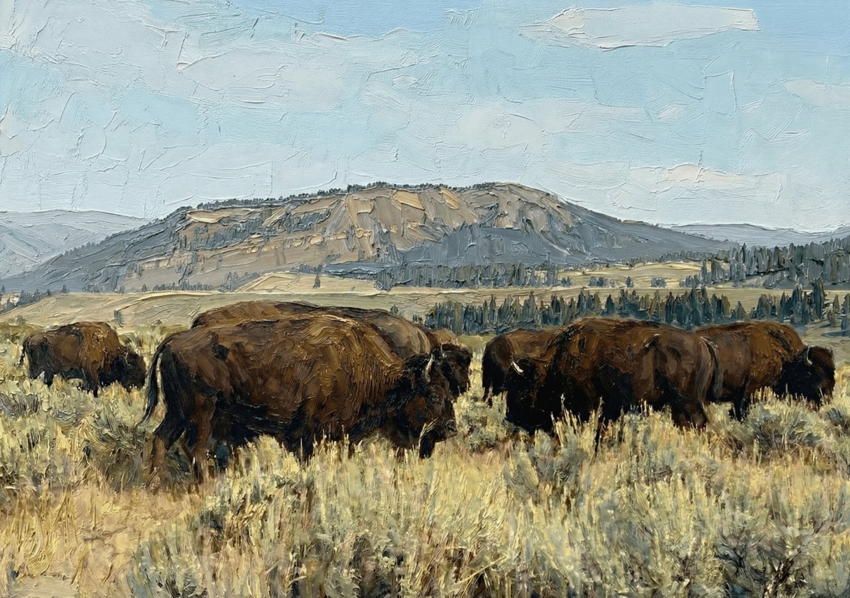 Thunder On The Shortgrass