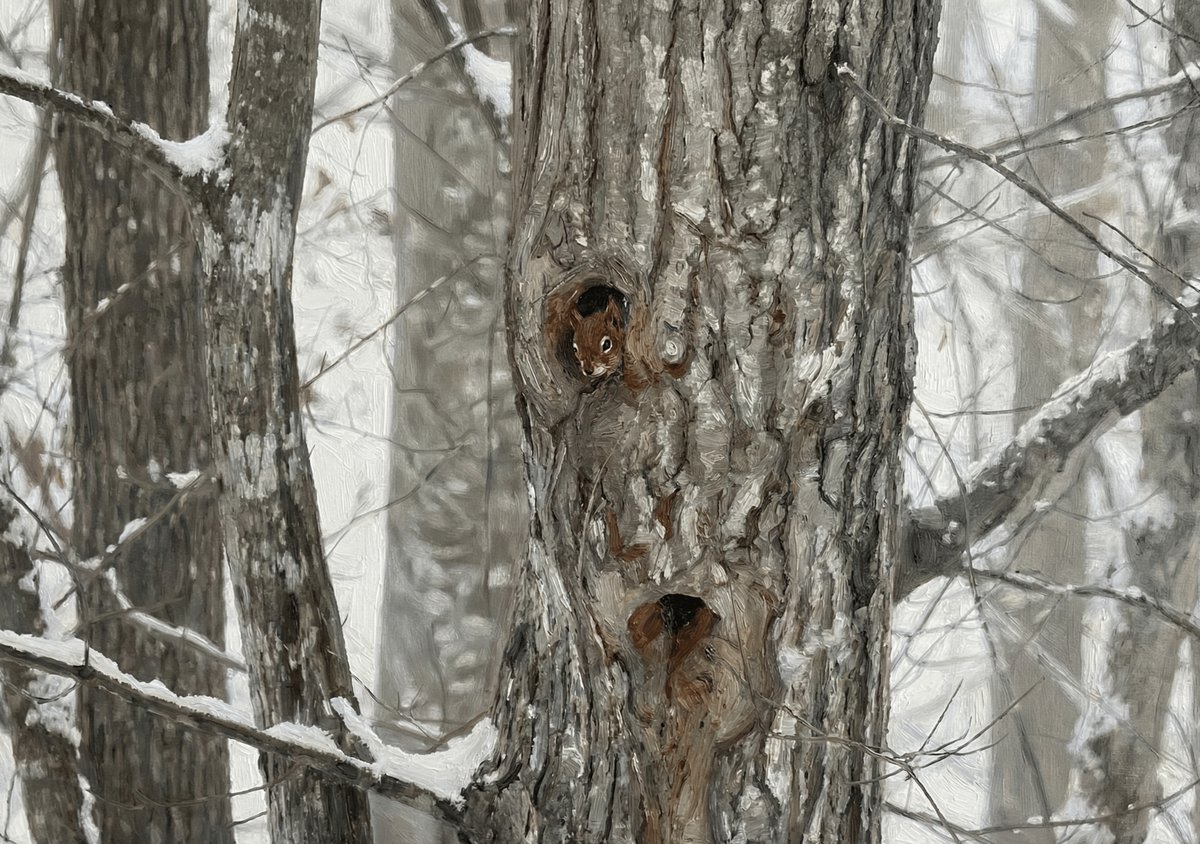 Winter Pine Squirrel